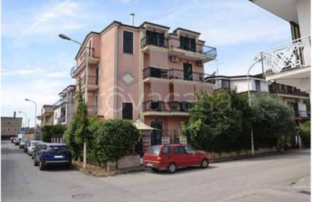 immagine annuncio 5 di 12