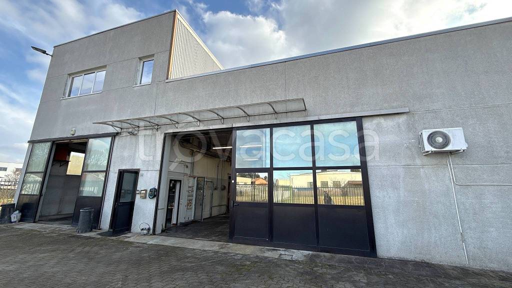 immagine annuncio 5 di 15