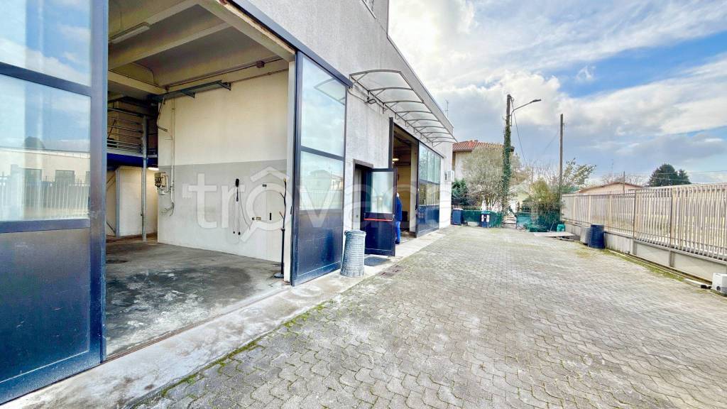 immagine annuncio 6 di 15