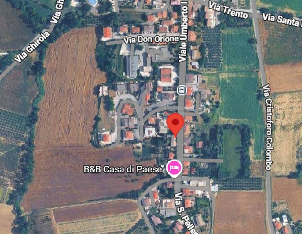 immagine annuncio 3 di 11