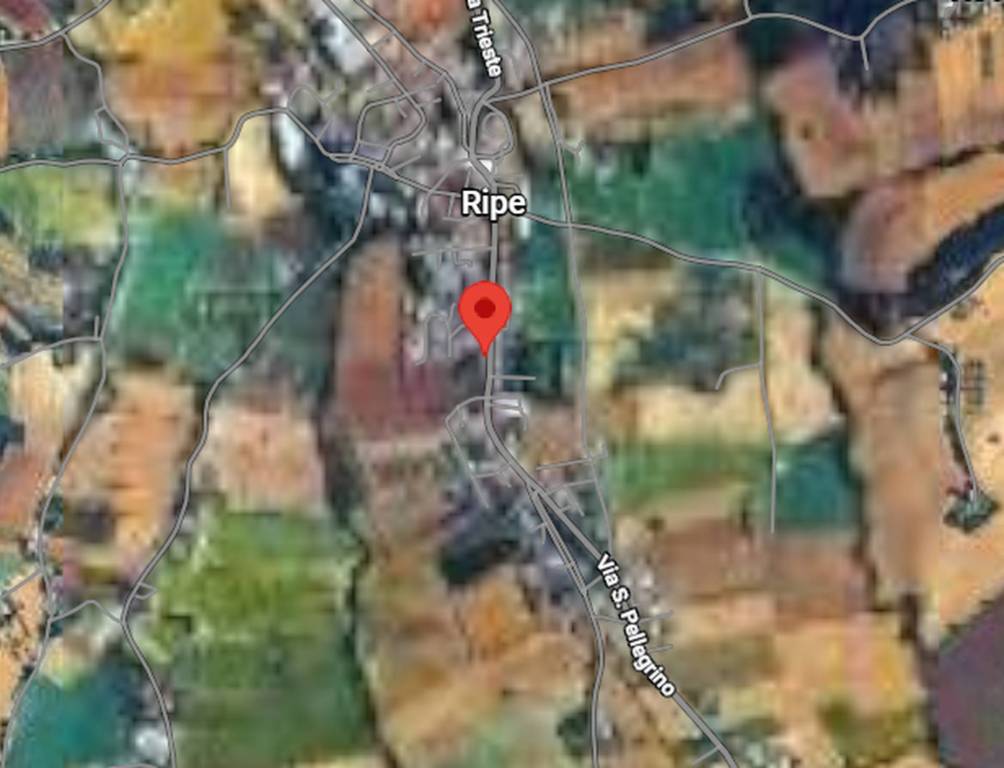 immagine annuncio 4 di 11