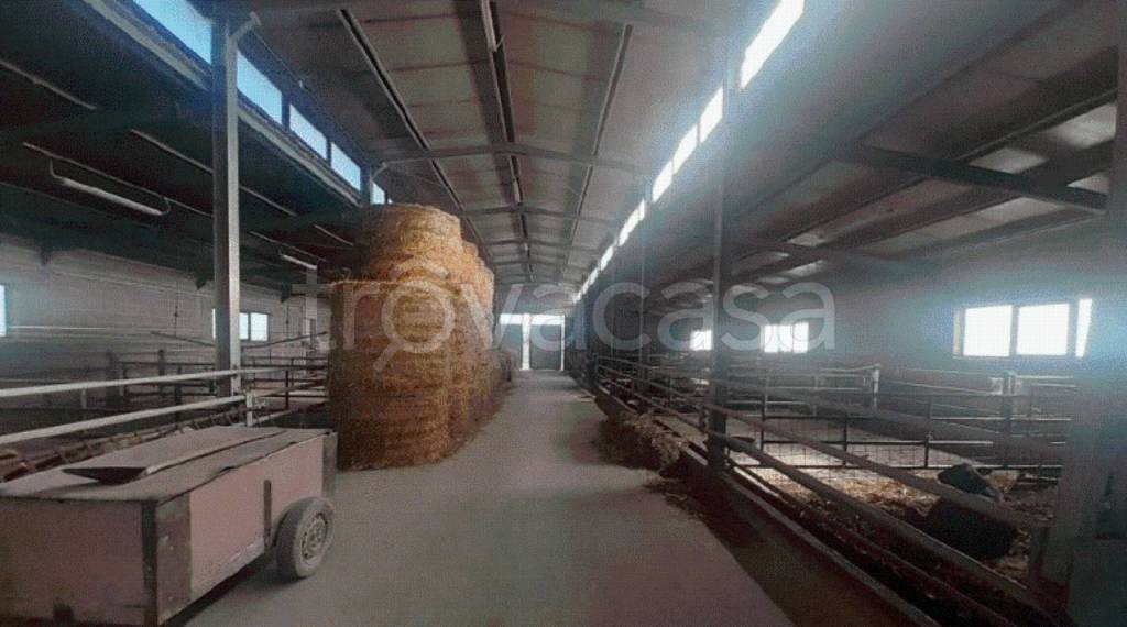 immagine annuncio 2 di 8