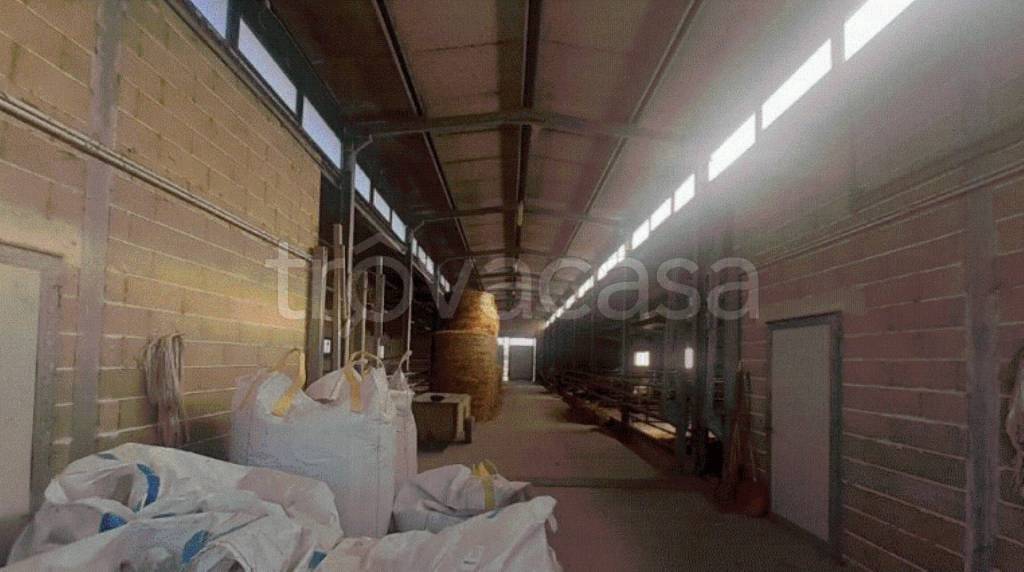 immagine annuncio 3 di 8