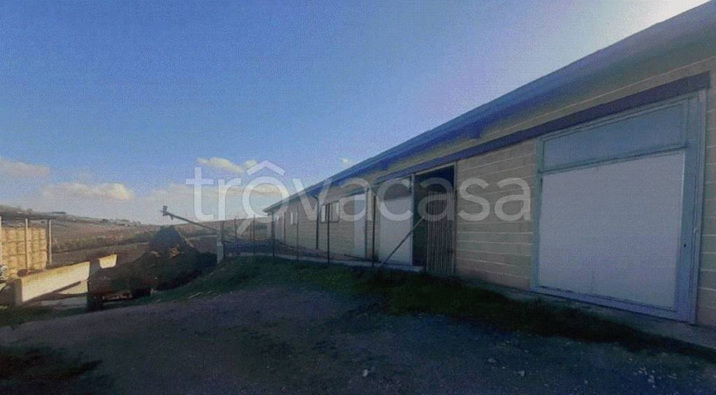 immagine annuncio 4 di 8