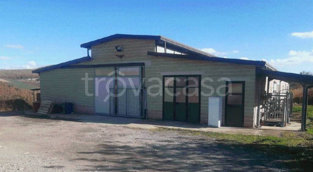 immagine annuncio 5 di 8