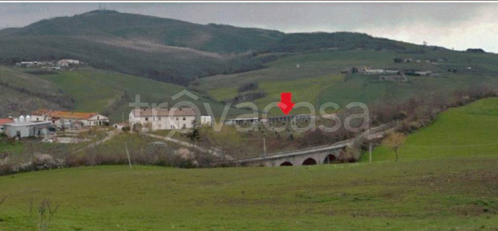 immagine annuncio 7 di 8