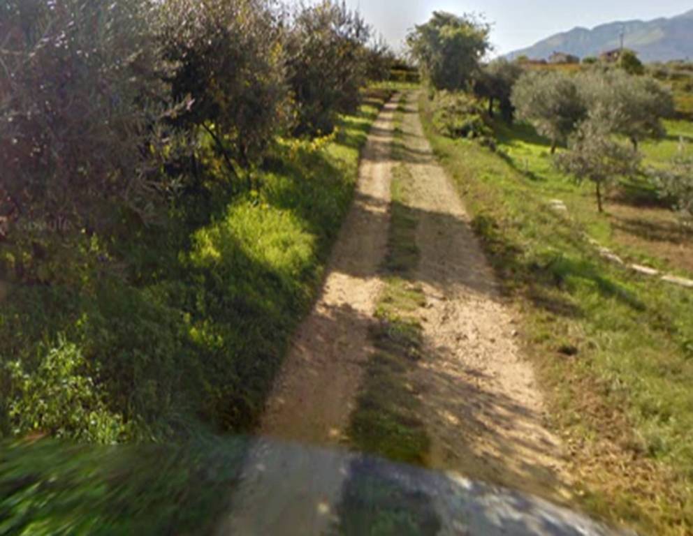 immagine annuncio 6 di 11