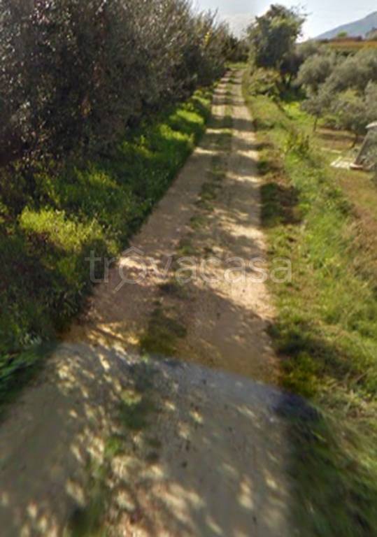 immagine annuncio 8 di 11