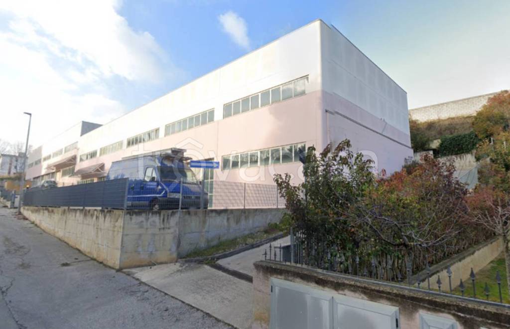 immagine annuncio 7 di 12