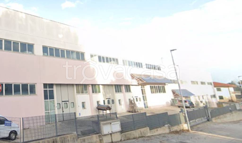 immagine annuncio 8 di 12