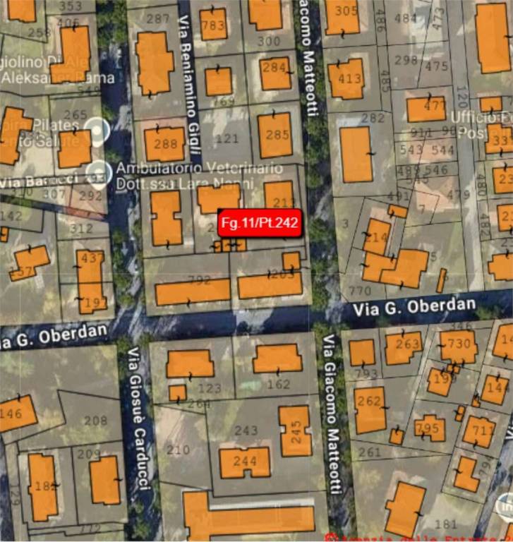 immagine annuncio 7 di 15