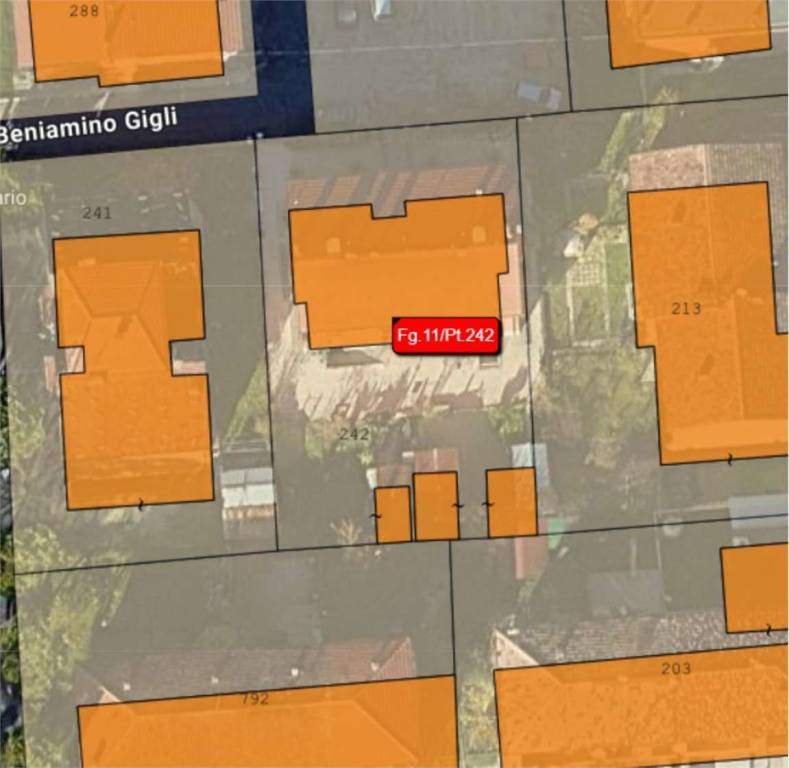 immagine annuncio 9 di 15