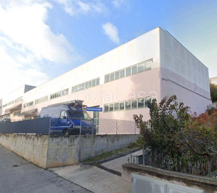 immagine annuncio 11 di 12