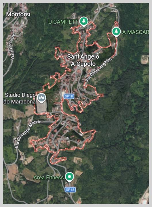 immagine annuncio 11 di 15