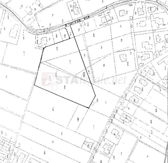 immagine annuncio 10 di 11