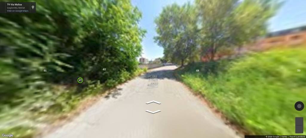 immagine annuncio 2 di 13