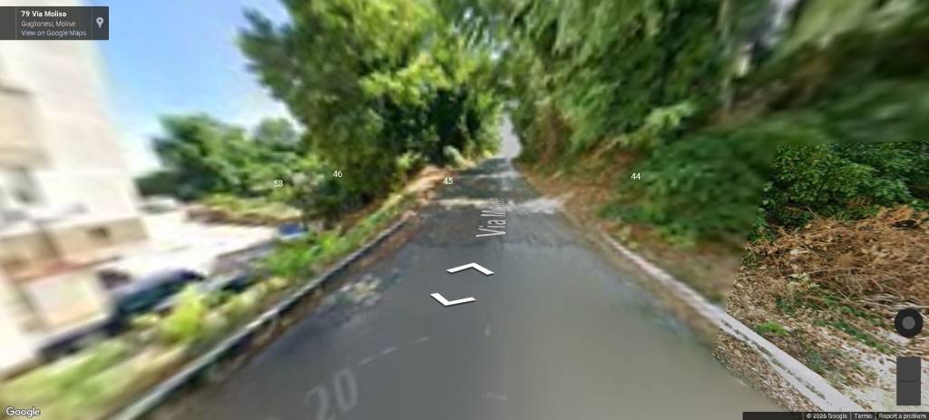 immagine annuncio 3 di 13