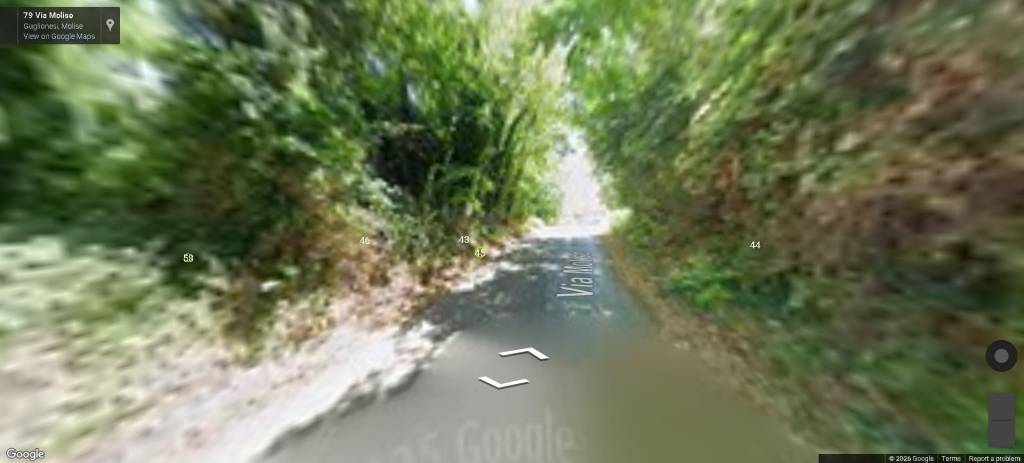 immagine annuncio 8 di 13