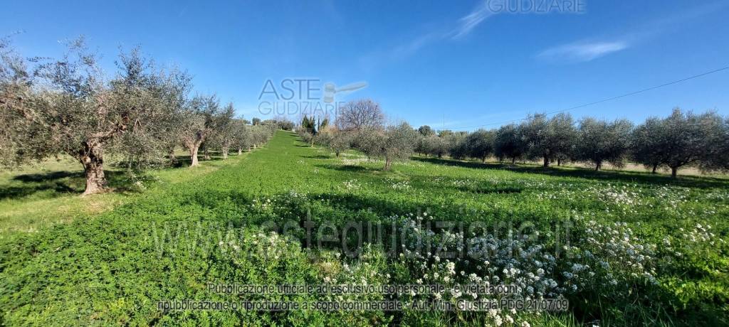 immagine annuncio 3 di 4