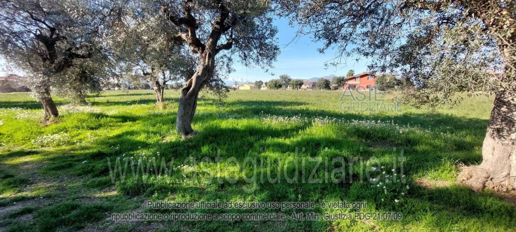 immagine annuncio 5 di 13