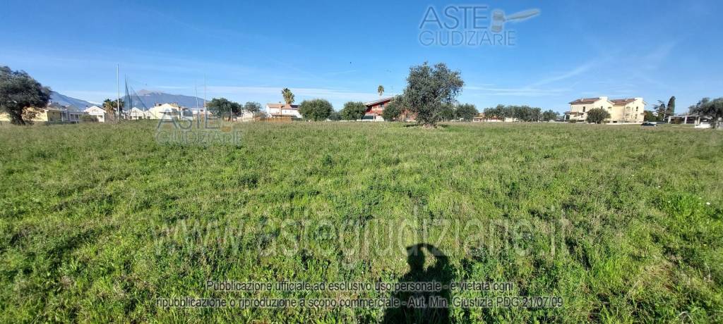 immagine annuncio 6 di 13