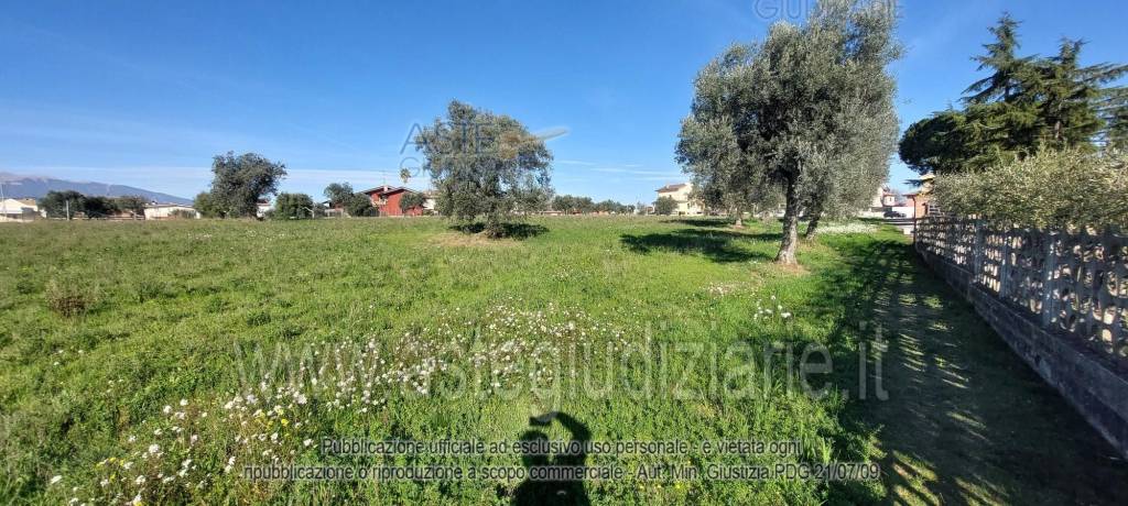 immagine annuncio 7 di 13