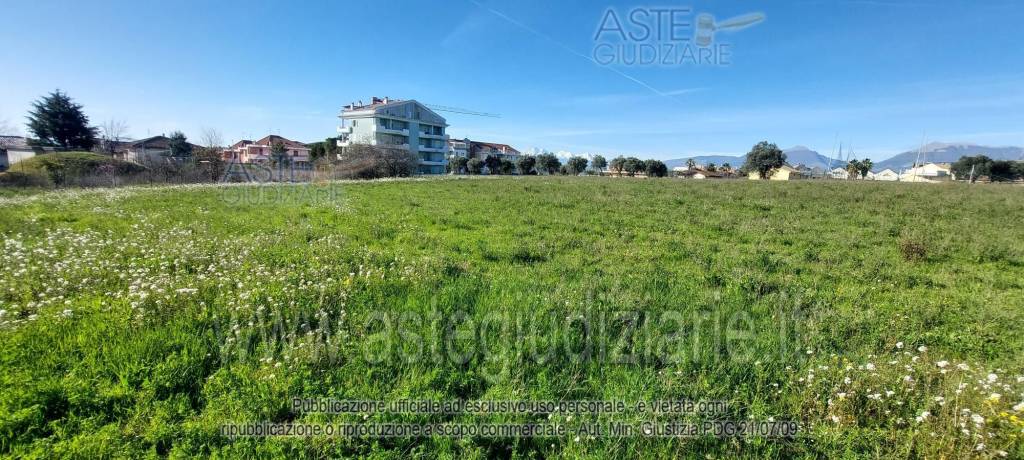 immagine annuncio 9 di 13