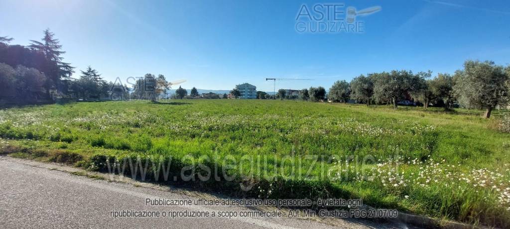 immagine annuncio 12 di 13