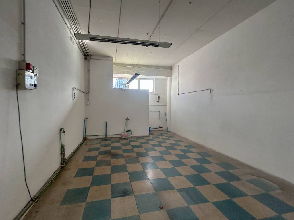 immagine annuncio 4 di 12