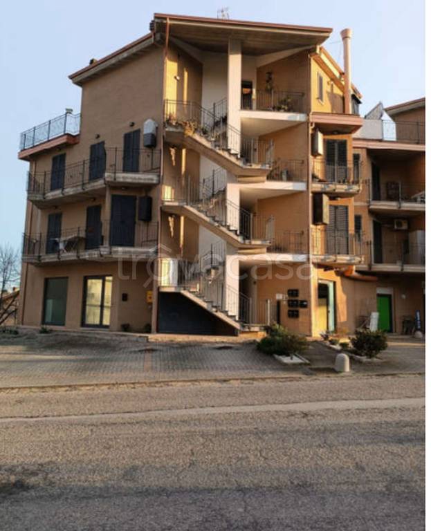 immagine annuncio 4 di 11