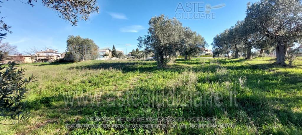 immagine annuncio 4 di 13