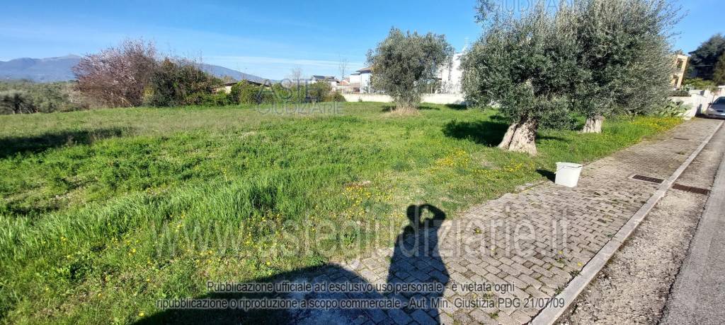 immagine annuncio 7 di 13