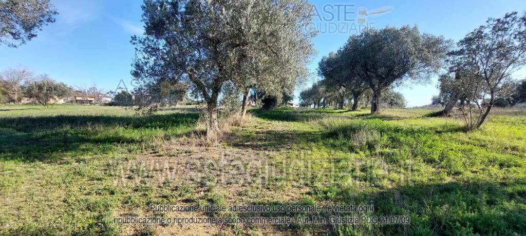 immagine annuncio 8 di 13