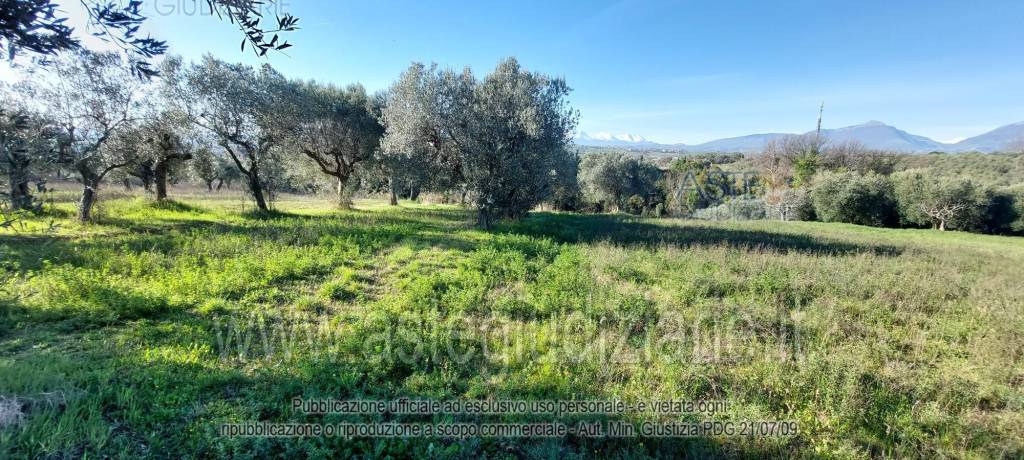 immagine annuncio 10 di 13