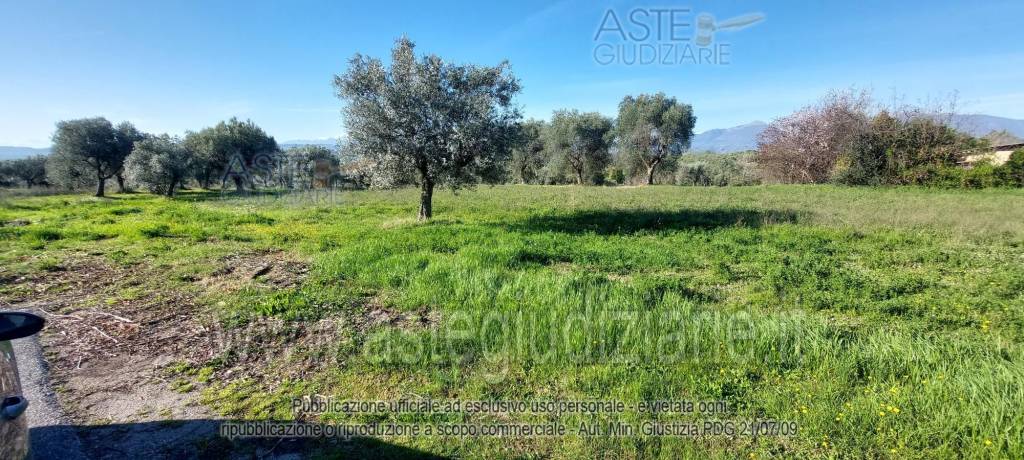 immagine annuncio 11 di 13