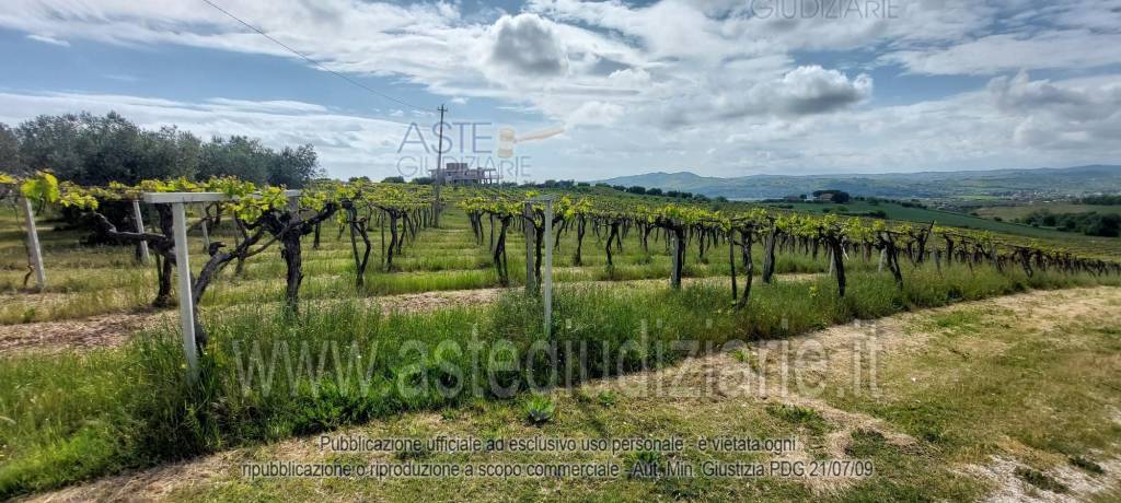 immagine annuncio 1 di 9