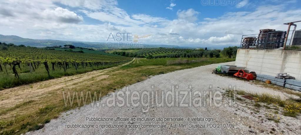 immagine annuncio 4 di 9