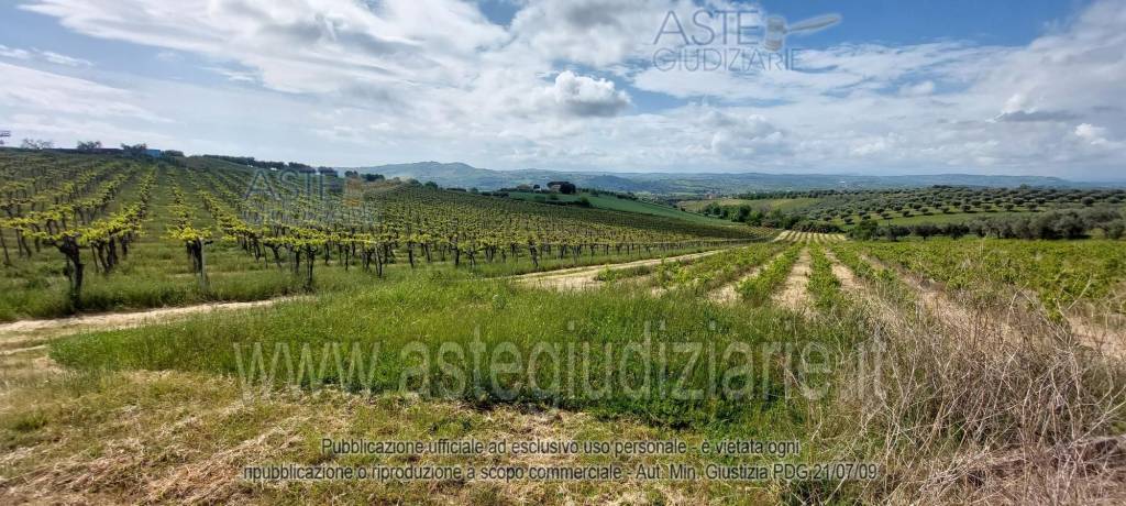 immagine annuncio 5 di 9