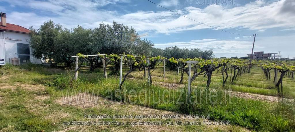 immagine annuncio 6 di 9