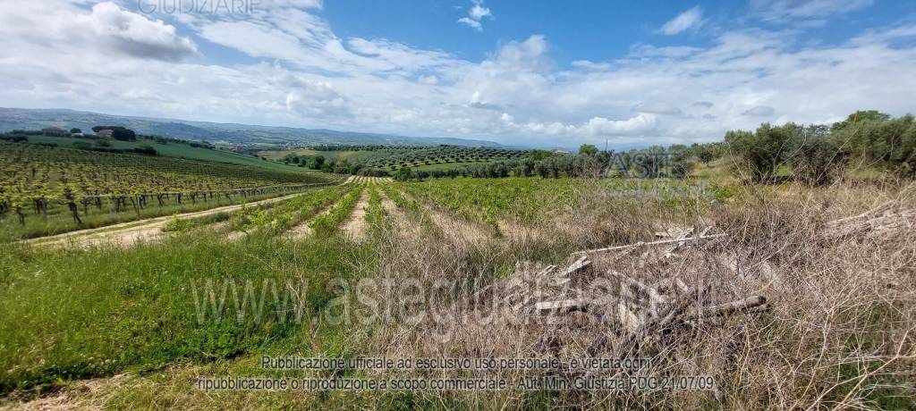 immagine annuncio 7 di 9