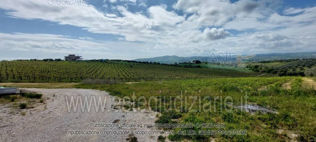 immagine annuncio 8 di 9