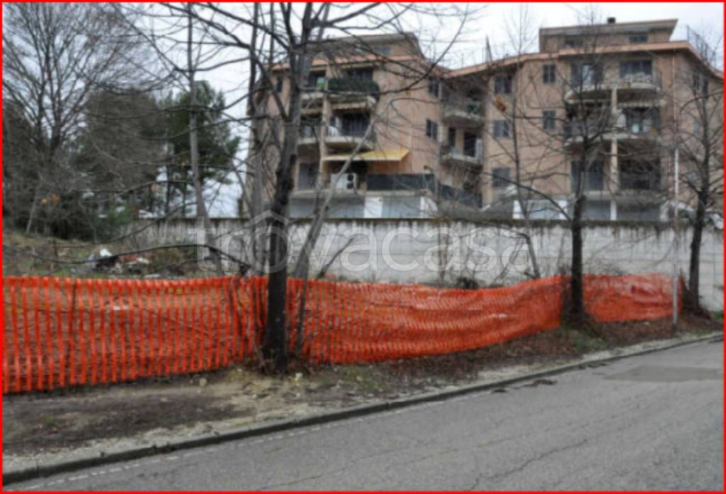 immagine annuncio 2 di 12