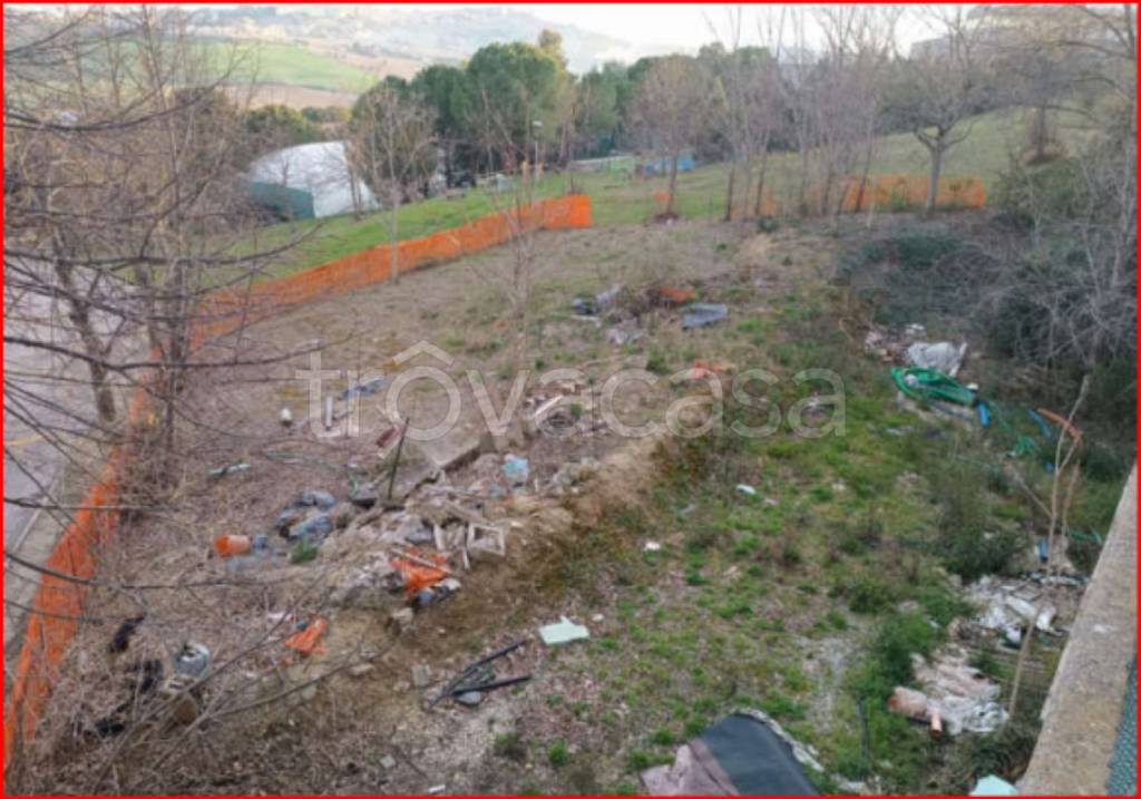 immagine annuncio 3 di 12