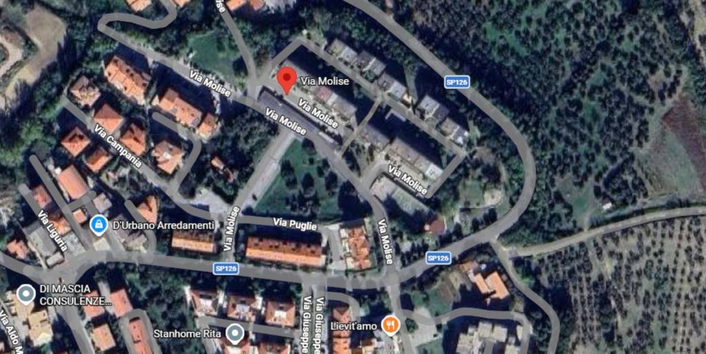 immagine annuncio 5 di 13