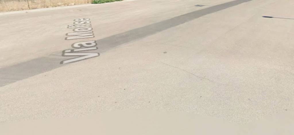 immagine annuncio 12 di 13