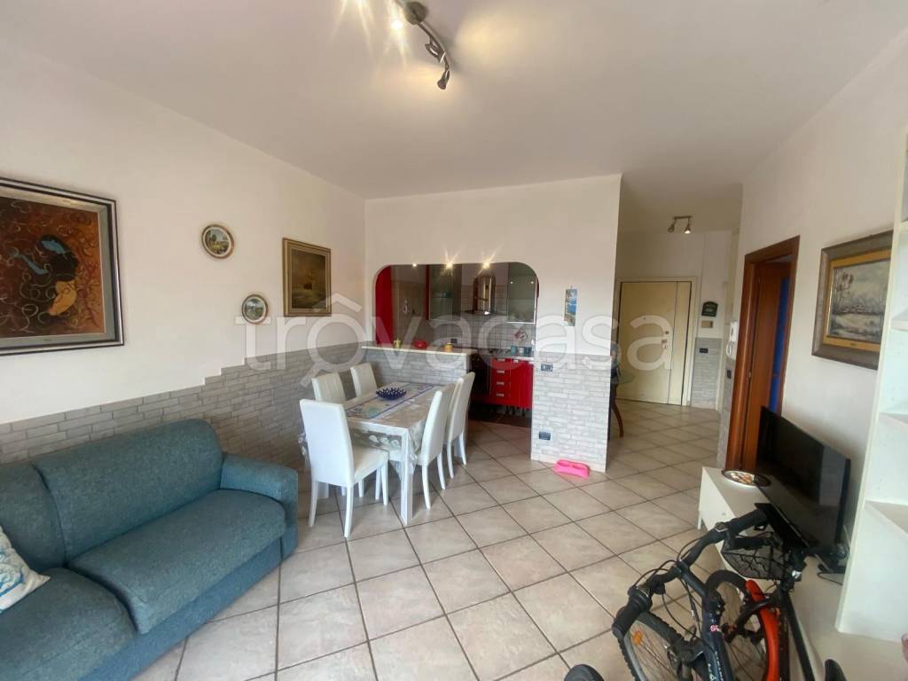 immagine annuncio 6 di 15