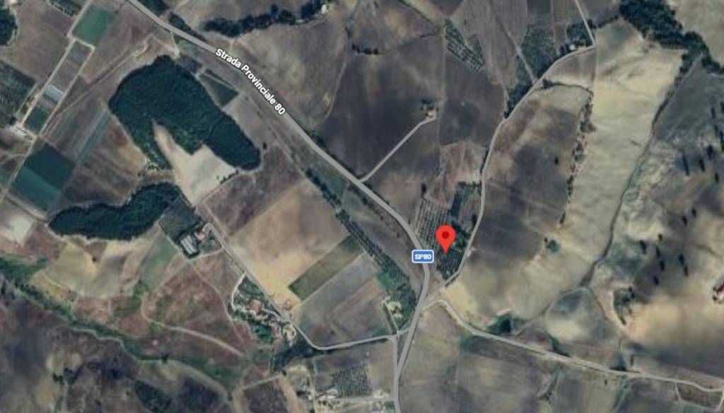 immagine annuncio 10 di 13