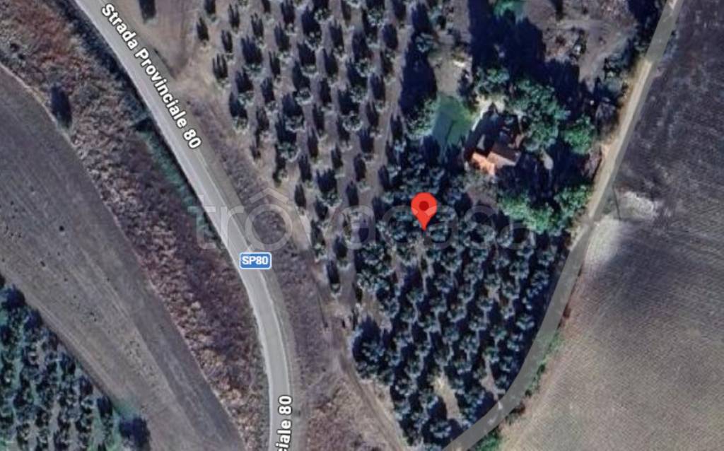 immagine annuncio 12 di 13