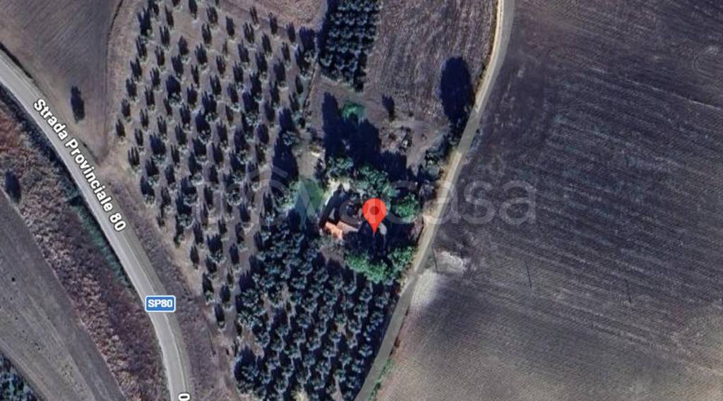 immagine annuncio 3 di 11