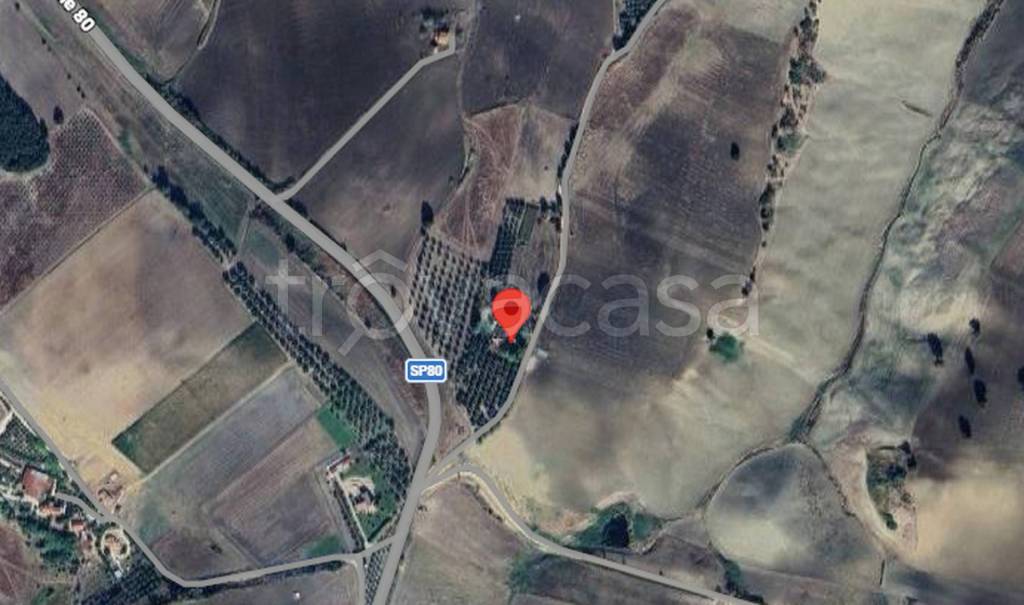 immagine annuncio 4 di 11